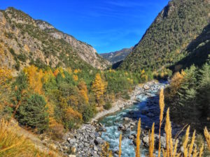 Couleurs d'automne vallée du Guil