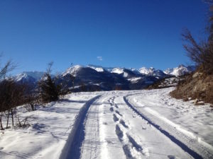 View on Les Ecrins