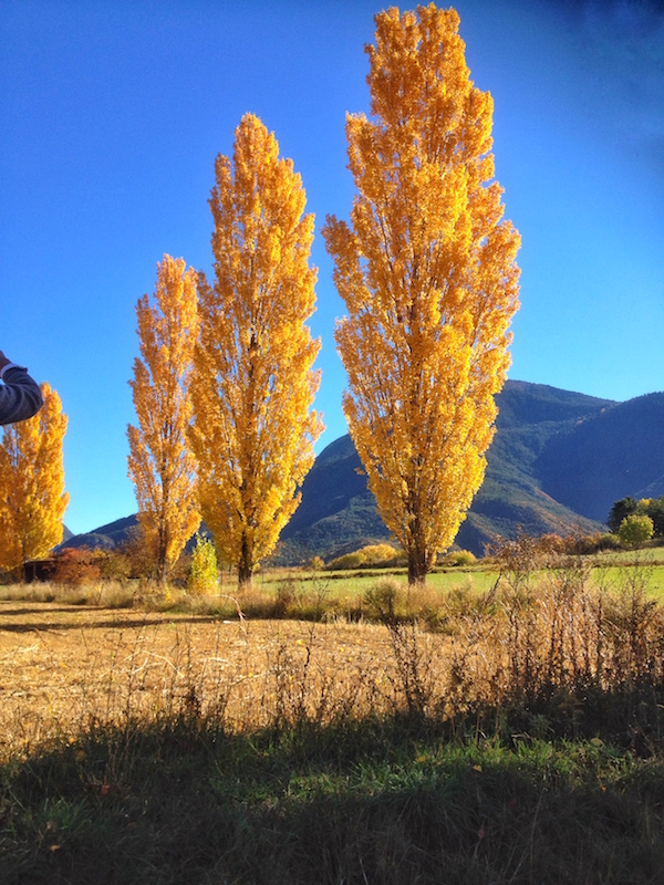 Automne Guillestre