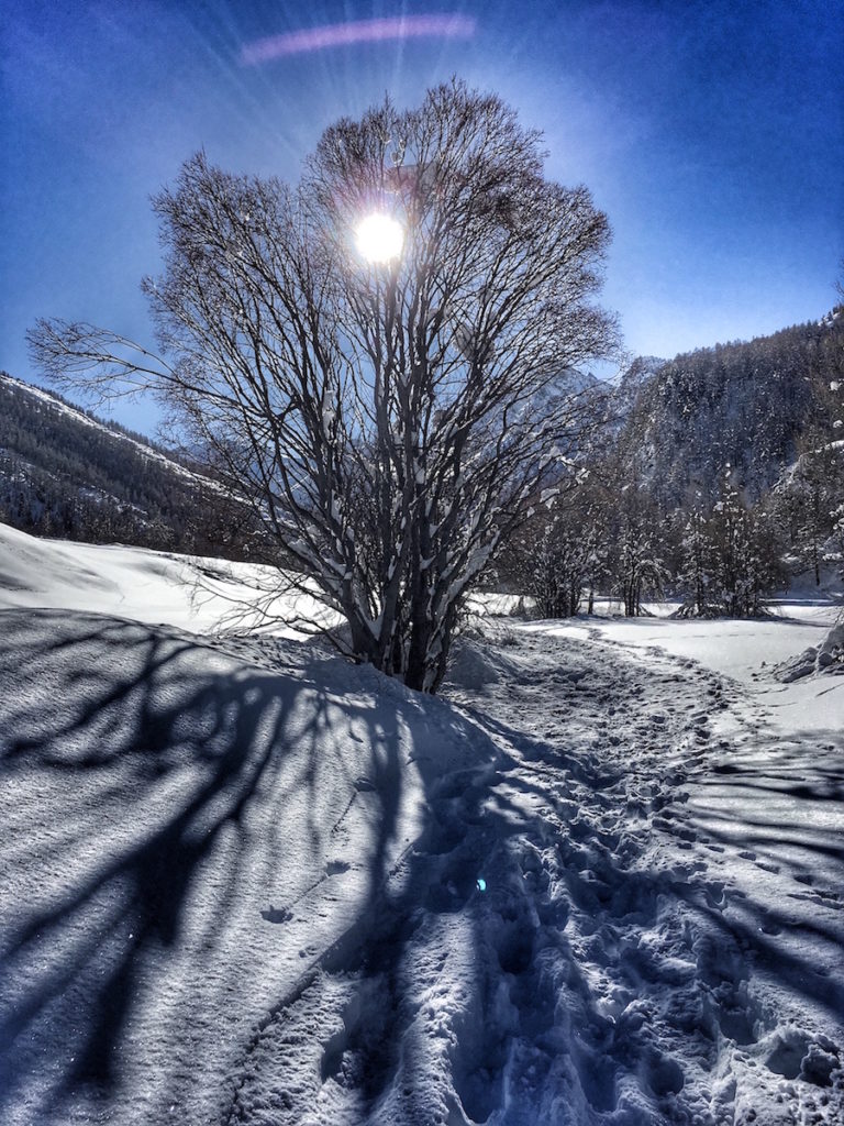 En hiver à l'Echalp