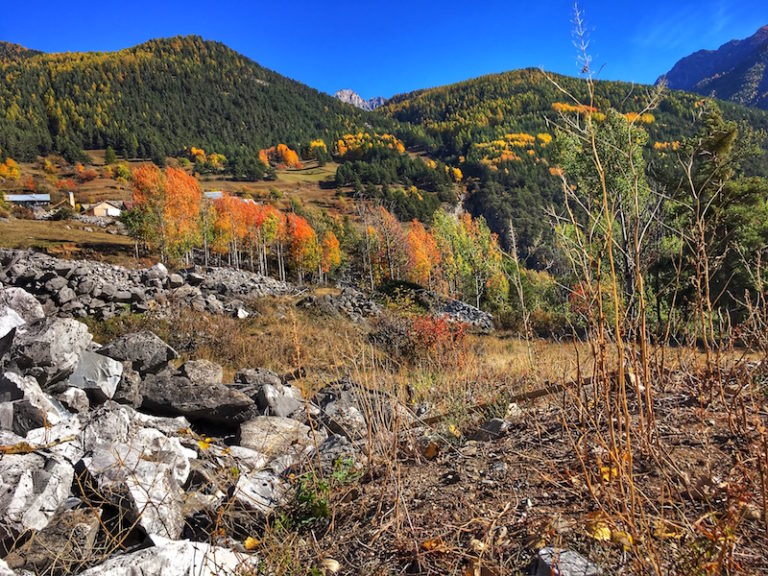 Automne Montbardon