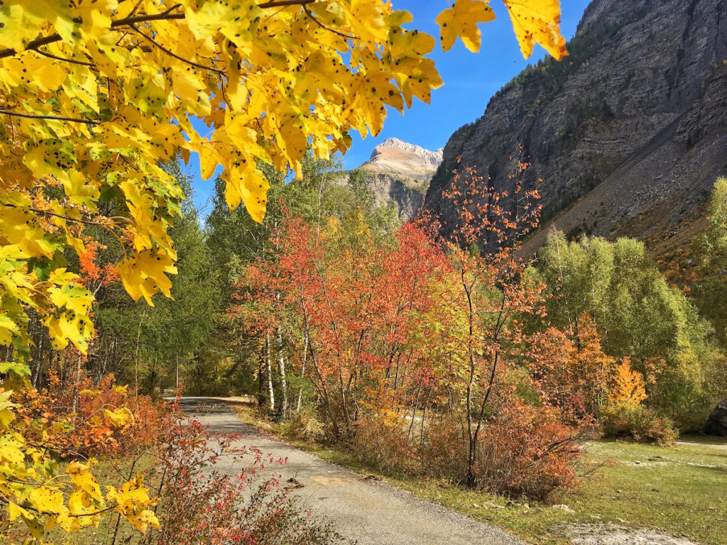 Vallée de Freissinières