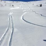 Les traces en ski de randonnée