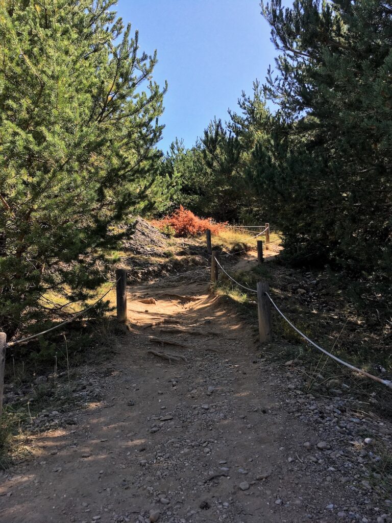 Sentier Marmotte Guillestre